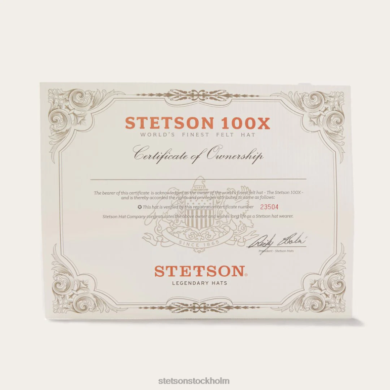 Stetson unisex- el presidente 100x premier cowboyhatt LLFB2 huvudbonader silvermage