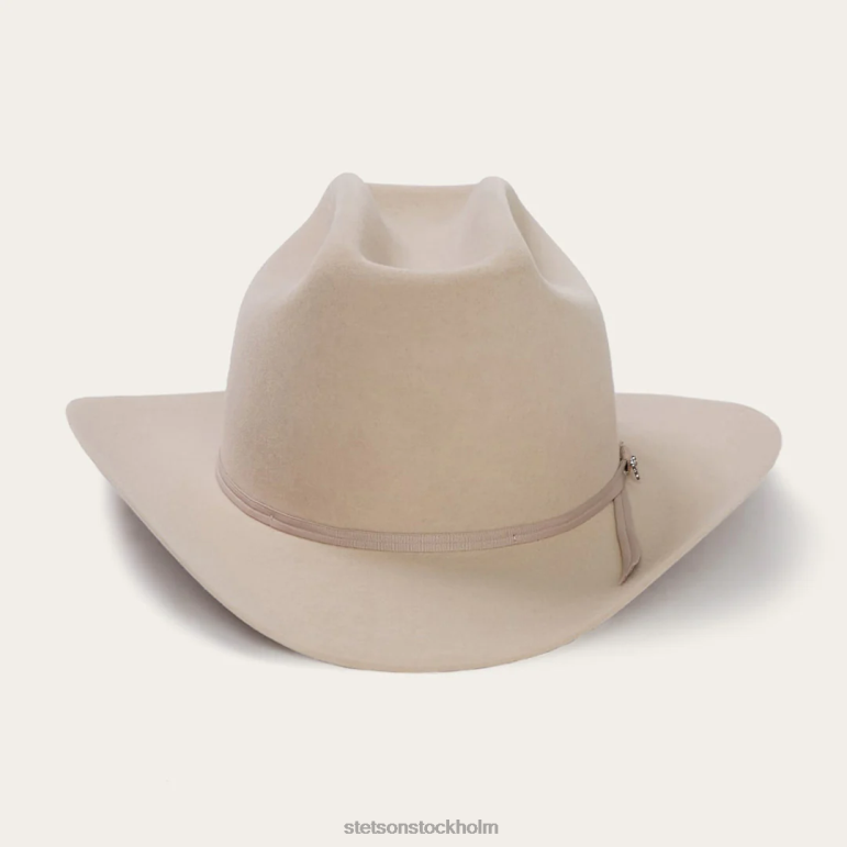 Stetson unisex- sortiment 6x cowboyhatt LLFB77 huvudbonader silvermage