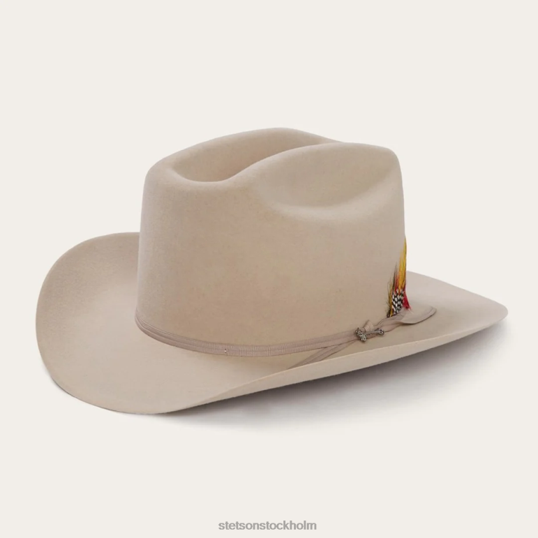 Stetson unisex- sortiment 6x cowboyhatt LLFB77 huvudbonader silvermage