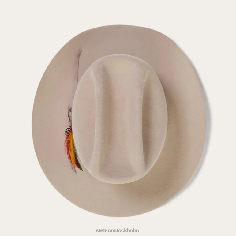 Stetson unisex- sortiment 6x cowboyhatt LLFB77 huvudbonader silvermage